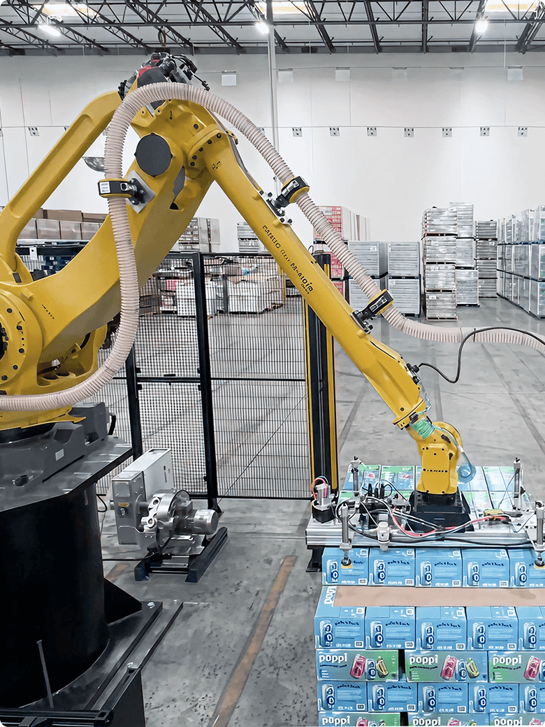 Industrial Palletizer image