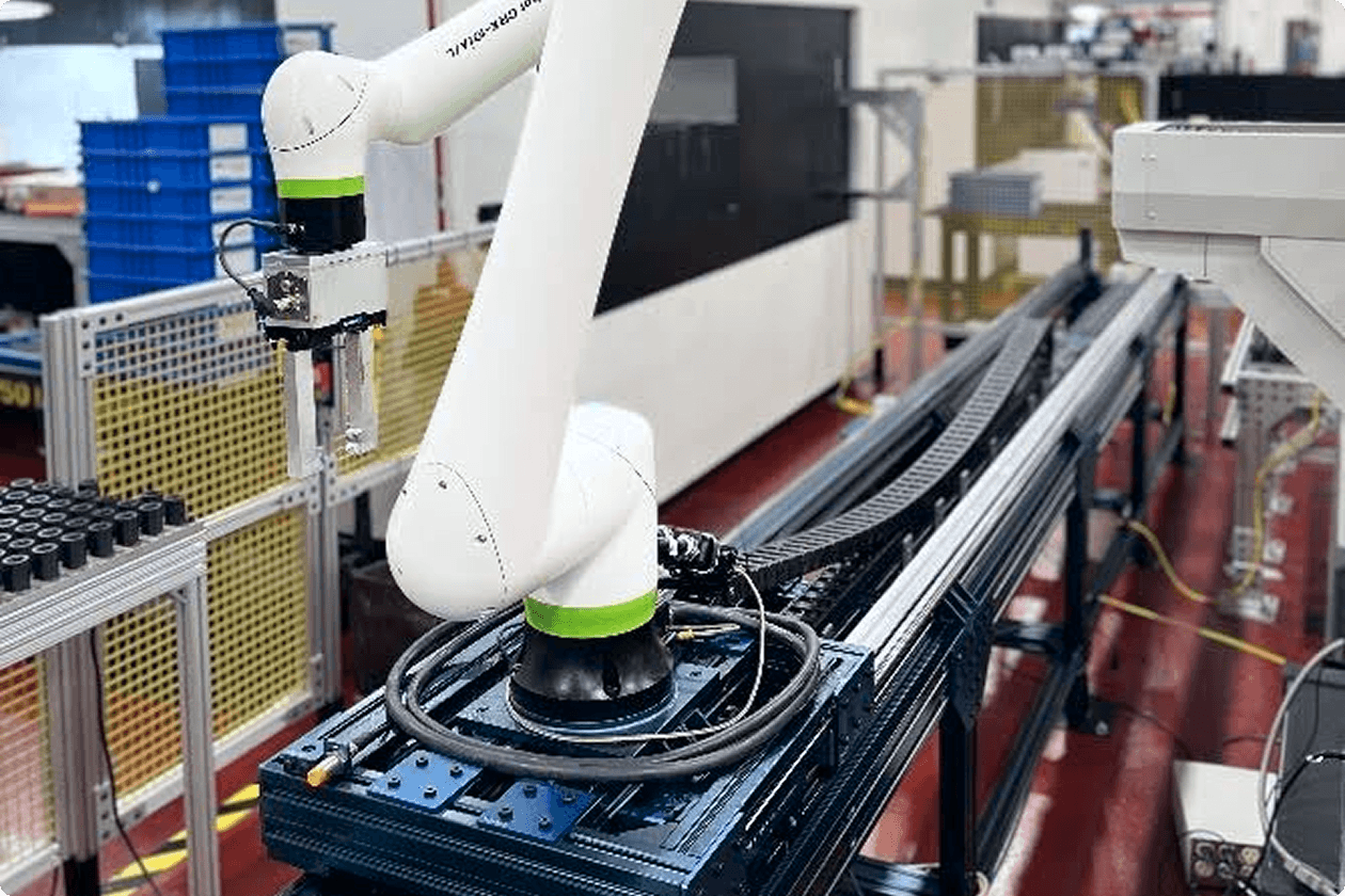 Denali Conveyor Solution