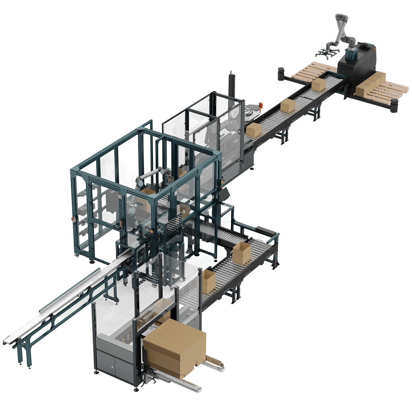 fully automated case packing solution