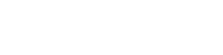 Schmalz Logo