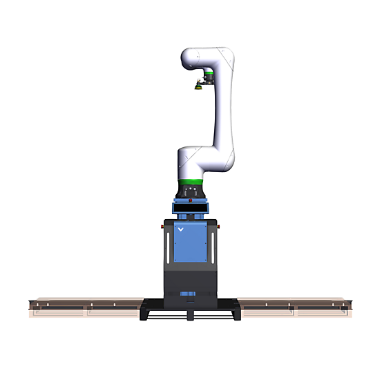 CRX30 Fixed Pedestal Rapid Series Palletizer 2 Front view